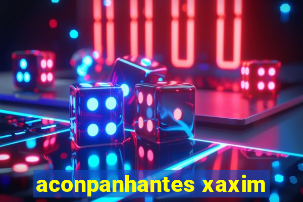 aconpanhantes xaxim